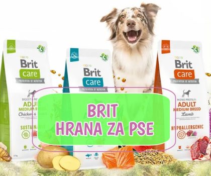 Brit hrana za pse