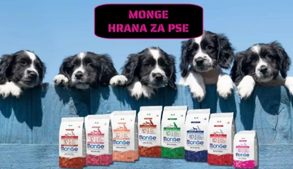 Monge hrana za pse