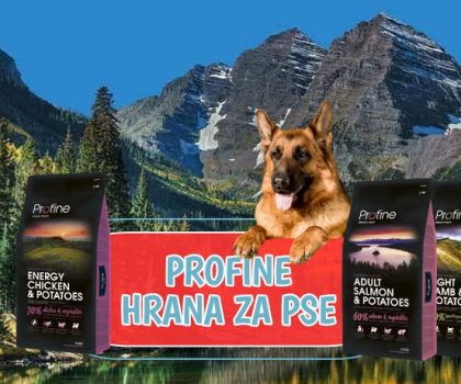 Profine hrana za pse