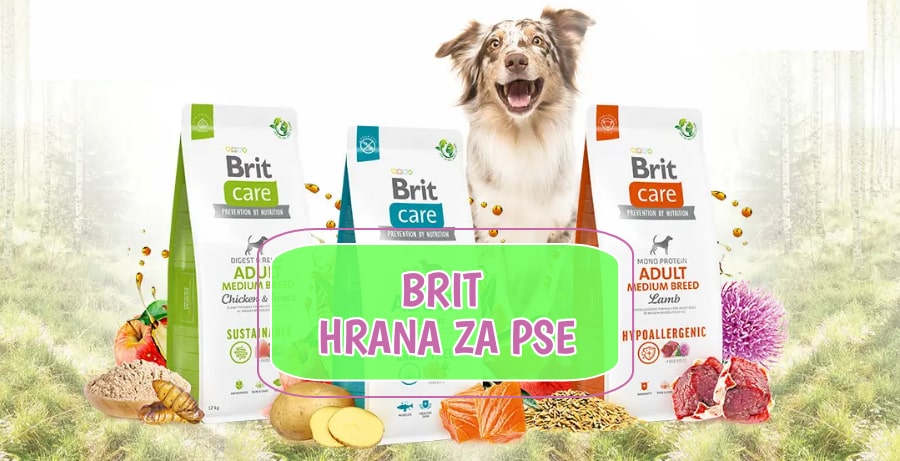 Brit hrana za pse