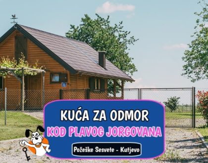 Kod Plavog Jorgovana