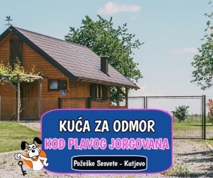 Kod Plavog Jorgovana
