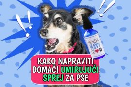 Kako napraviti domaći umirujući sprej za pse
