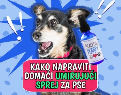 Kako napraviti domaći umirujući sprej za pse