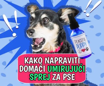 Kako napraviti domaći umirujući sprej za pse
