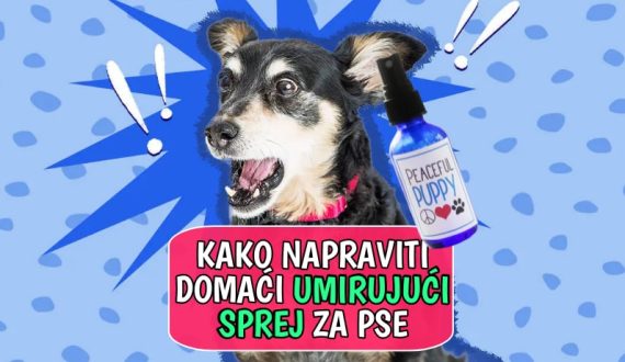 Kako napraviti domaći umirujući sprej za pse