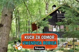 Kuća za odmor Vikendica Bobica