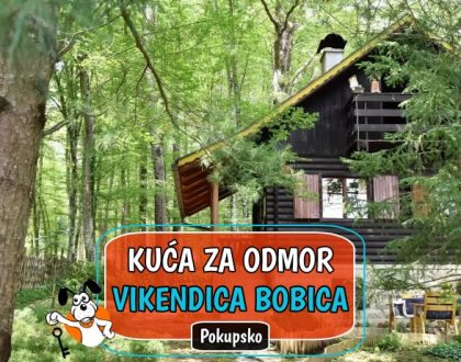 Kuća za odmor Vikendica Bobica