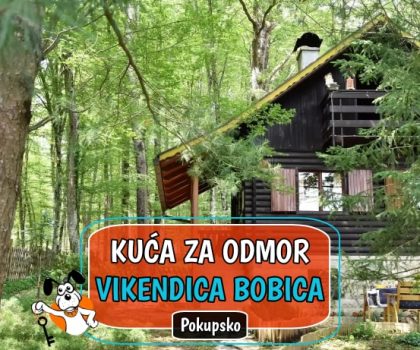 Kuća za odmor Vikendica Bobica