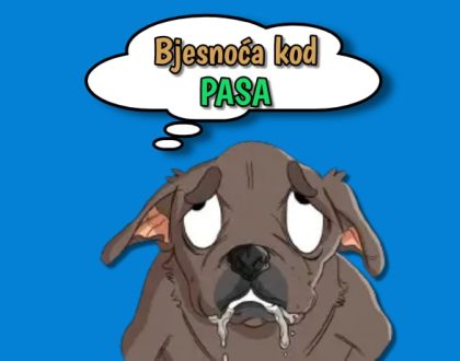 Bjesnoća kod pasa