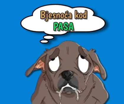 Bjesnoća kod pasa