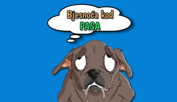 Bjesnoća kod pasa