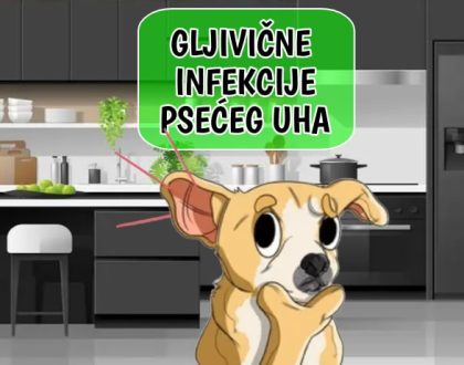 Gljivične infekcije psećeg uha
