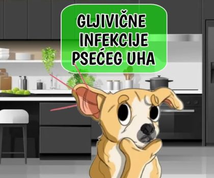 Gljivične infekcije psećeg uha