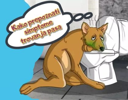 Kako prepoznati simptome trovanja pasa