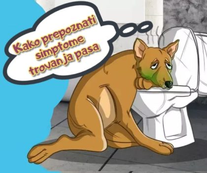 Kako prepoznati simptome trovanja pasa