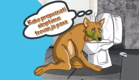 Kako prepoznati simptome trovanja pasa