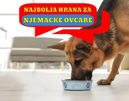 Najbolja hrana za Njemačke Ovčare