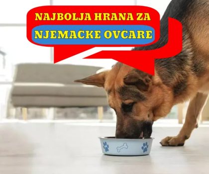 Najbolja hrana za Njemačke Ovčare