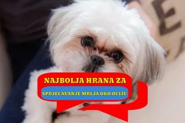 Najbolja hrana za pse za sprječavanje mrlja oko očiju