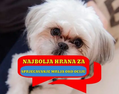 Najbolja hrana za pse za sprječavanje mrlja oko očiju