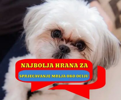 Najbolja hrana za pse za sprječavanje mrlja oko očiju