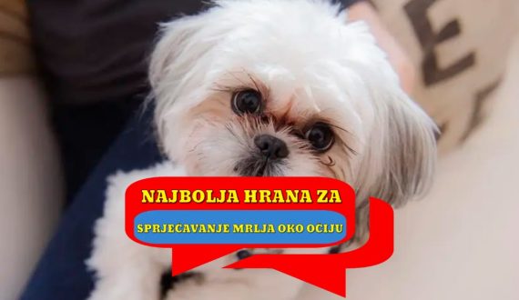 Najbolja hrana za pse za sprječavanje mrlja oko očiju