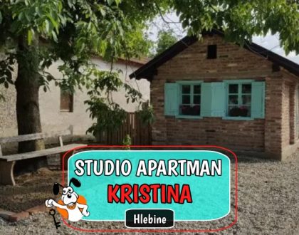 Studio Apartman Kristina