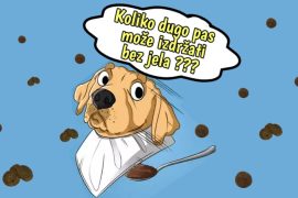 Koliko dugo pas može izdržati bez jela