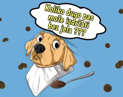 Koliko dugo pas može izdržati bez jela