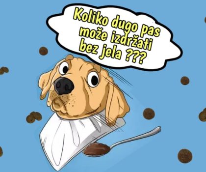 Koliko dugo pas može izdržati bez jela