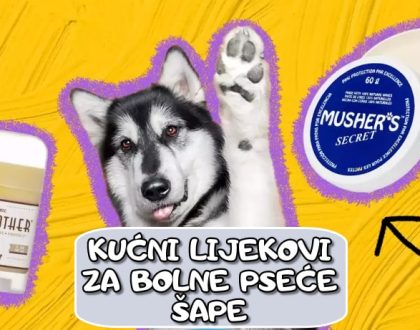 Kućni lijekovi za bolne pseće šape