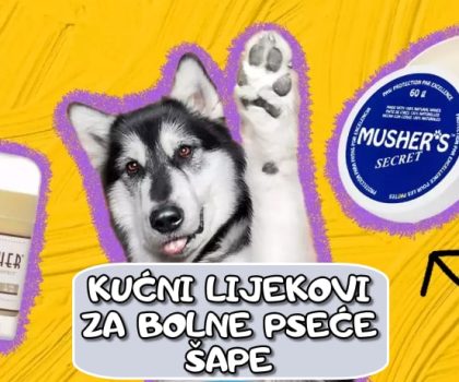 Kućni lijekovi za bolne pseće šape