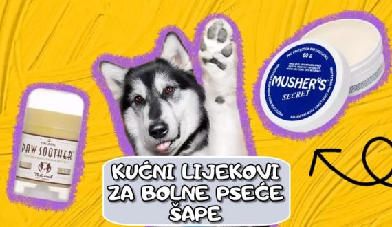 Kućni lijekovi za bolne pseće šape