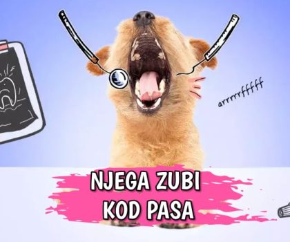 Njega zubi kod pasa
