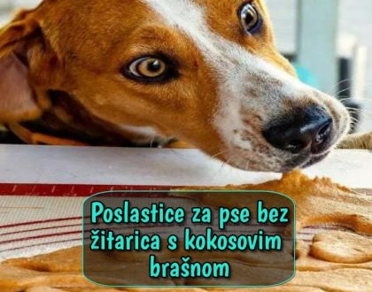 Poslastice za pse bez žitarica s kokosovim brašnom
