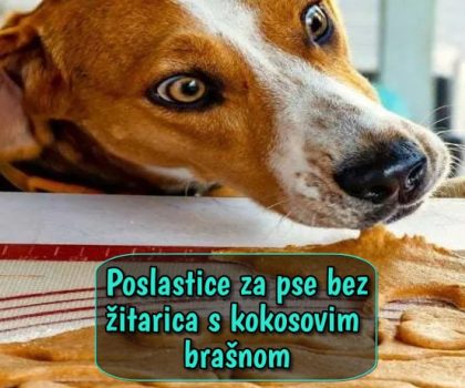 Poslastice za pse bez žitarica s kokosovim brašnom
