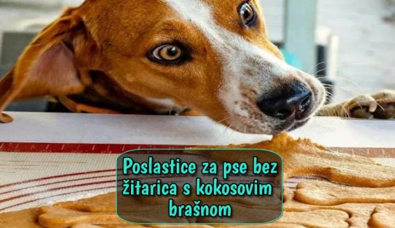 Poslastice za pse bez žitarica s kokosovim brašnom