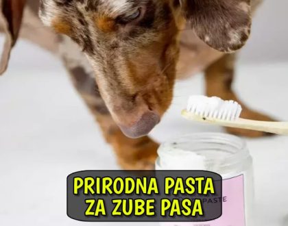 Prirodna pasta za zube pasa