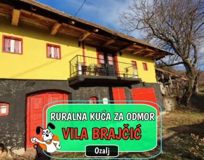 RURALNA KUĆA ZA ODMOR VILA BRAJČIĆ