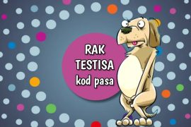 Rak testisa kod pasa