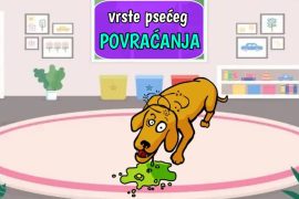 Vrste psećeg povraćanja