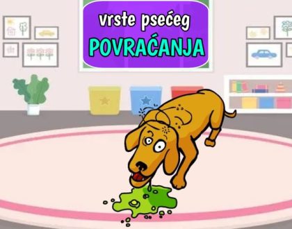 Vrste psećeg povraćanja