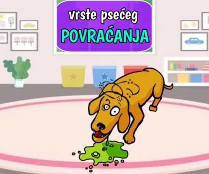 Vrste psećeg povraćanja