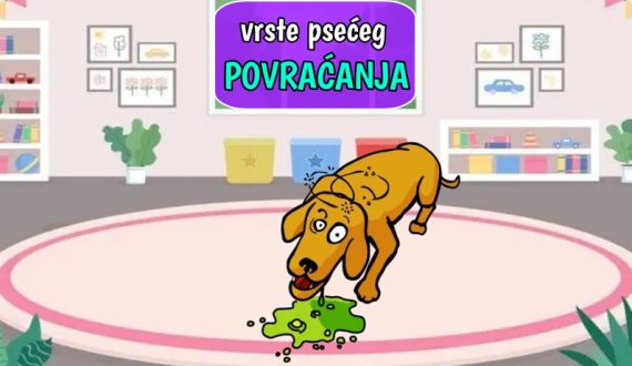 Vrste psećeg povraćanja