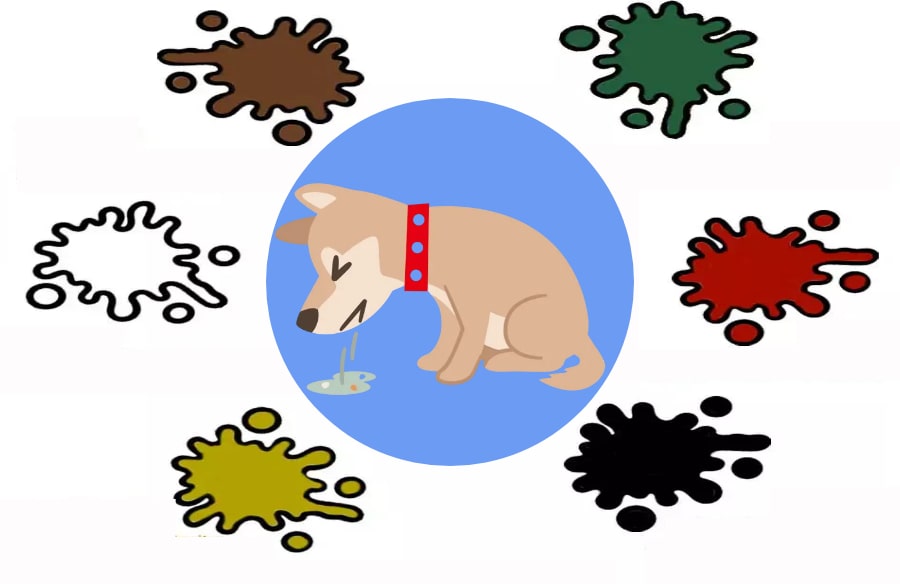 boje psećeg povraćanja