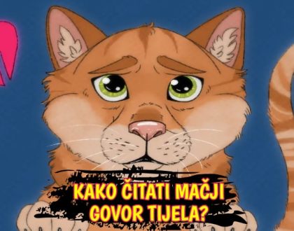 Kako čitati mačji govor tijela