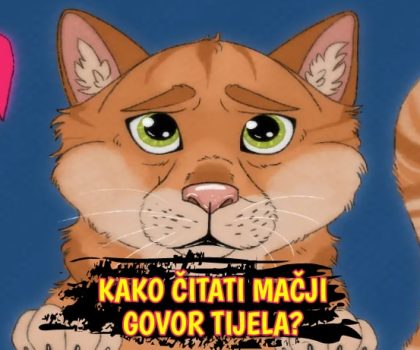 Kako čitati mačji govor tijela