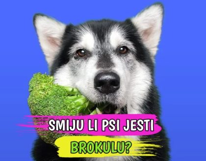 SMIJU LI PSI JESTI BROKULU