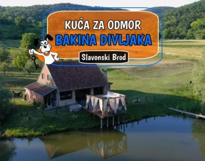 Kuća za odmor Bakina Divljaka
